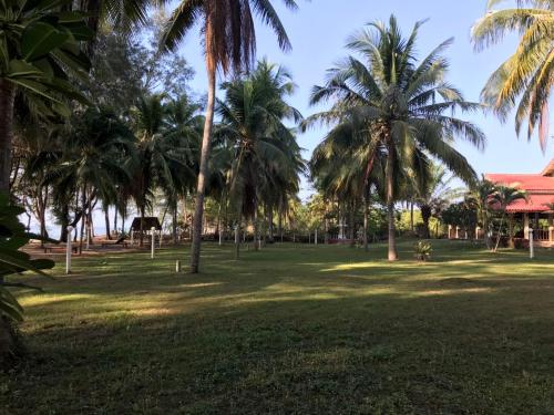 Lazy Beach Camping in Tab Sakae Lazy Beach Camping in Tab Sakae