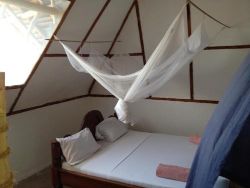 This photo about Baby Bush Lodge shared on HyHotel.com