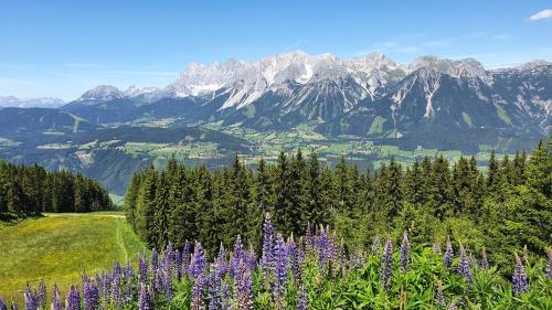 Sports and activities, Schmiedlehnerhof in Schladming Sports and activities, Schmiedlehnerhof in Schladming