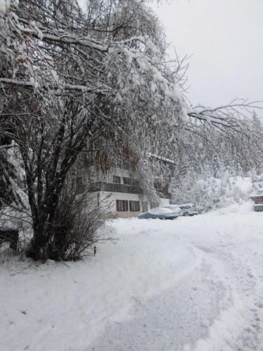 This photo about Casa Alpina Dobbiaco shared on HyHotel.com