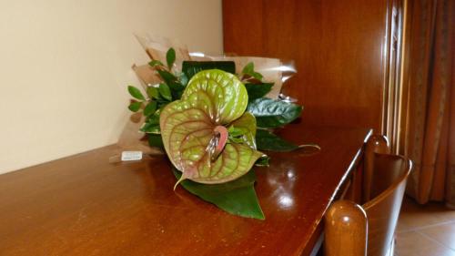 This photo about Agriturismo Ai Due Volti shared on HyHotel.com