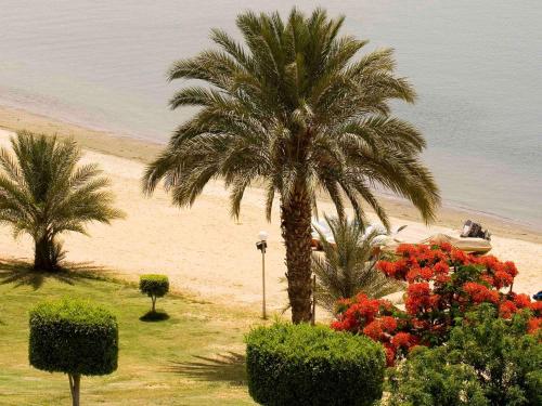 מתקני המלון, Mercure Ismailia Forsan Island Hotel in איסמעיליה מתקני המלון, Mercure Ismailia Forsan Island Hotel in איסמעיליה