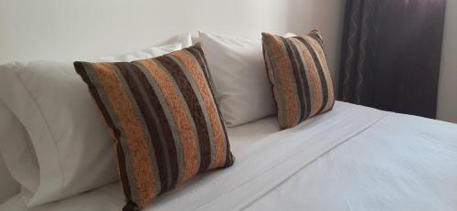 Apartments in Casa Iris Downtown, Luxury and Modern Coliving space