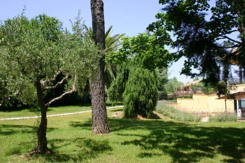 Garden, 2 bedrooms house with enclosed garden and wifi at Mogliano in Mogliano Garden, 2 bedrooms house with enclosed garden and wifi at Mogliano in Mogliano