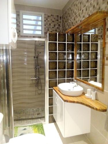 Μπάνιο, Appartement d'une chambre avec vue sur la ville jacuzzi et jardin clos a Le Vauclin a 2 km de la pla in Le Vauclin Μπάνιο, Appartement d'une chambre avec vue sur la ville jacuzzi et jardin clos a Le Vauclin a 2 km de la pla in Le Vauclin