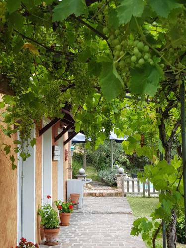 Home set in olive grove with stunning views in Mondavio Home set in olive grove with stunning views in Mondavio