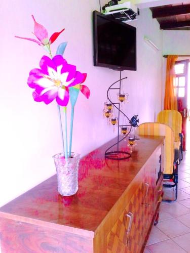 Appartement d'une chambre avec jardin clos et wifi a Le Robert a 2 km de la plage in Ле-Ламантен Appartement d'une chambre avec jardin clos et wifi a Le Robert a 2 km de la plage in Ле-Ламантен