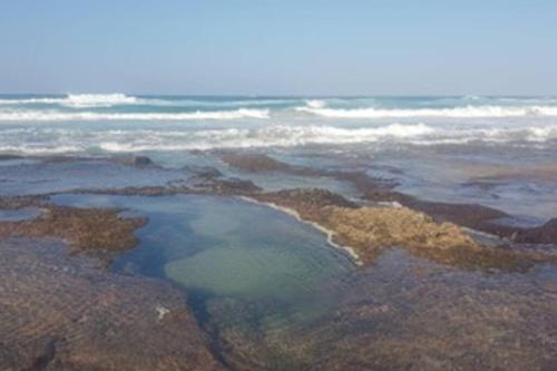 Surrounding environment, Chilled Vibes in Zitundo Surrounding environment, Chilled Vibes in Zitundo