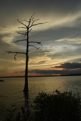 Dances Bay in Elizabeth City (NC) Dances Bay in Elizabeth City (NC)
