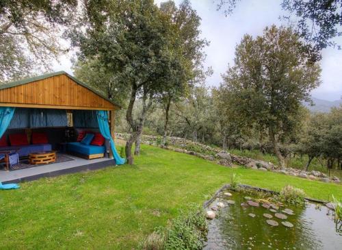 Vrt, Studio avec jardin amenage et wifi a Moltifao in Moltifao Vrt, Studio avec jardin amenage et wifi a Moltifao in Moltifao