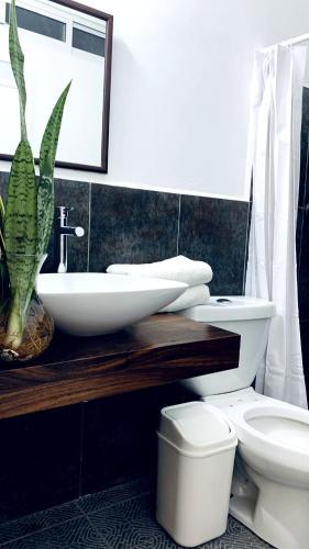 Bathroom, Paziflora Hostel in Puerto Escondido Bathroom, Paziflora Hostel in Puerto Escondido