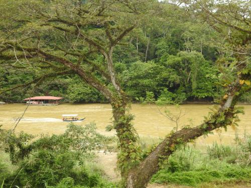 Tebing Guest House in Kuala Tahan Tebing Guest House in Kuala Tahan