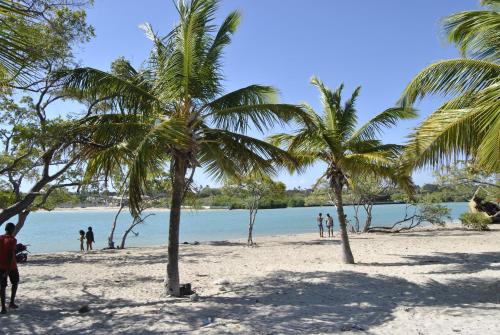 บริการและสิ่งอำนวยความสะดวก, Hotel Loro Tuerto in บาราโอนา บริการและสิ่งอำนวยความสะดวก, Hotel Loro Tuerto in บาราโอนา