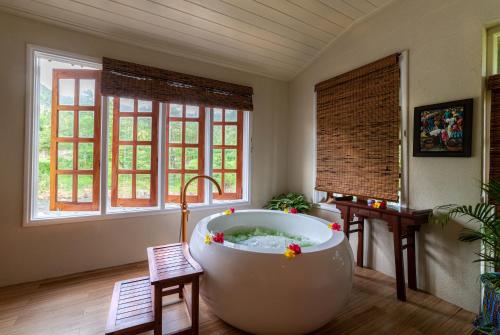 Kolam air panas, Rosalie Bay Eco Resort & Spa in Rosalie Kolam air panas, Rosalie Bay Eco Resort & Spa in Rosalie