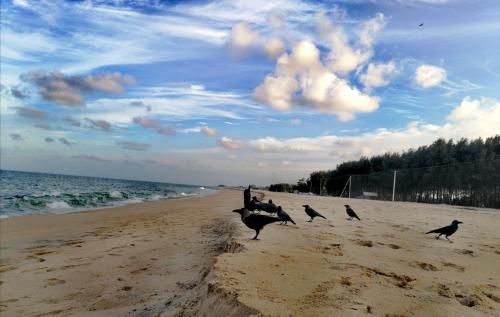 Sea View Resort in Batticaloa Sea View Resort in Batticaloa