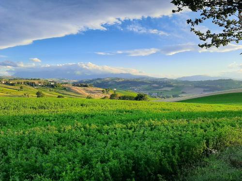 Sports and activities, Casa Azzurra in Loro Piceno Sports and activities, Casa Azzurra in Loro Piceno