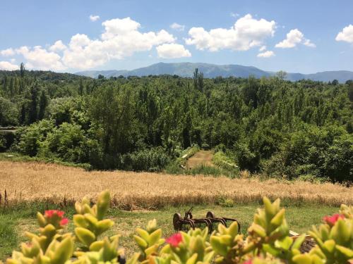 Bed&Breakfast La Ginestra in San Valentino In Abruzzo Citeriore Bed&Breakfast La Ginestra in San Valentino In Abruzzo Citeriore