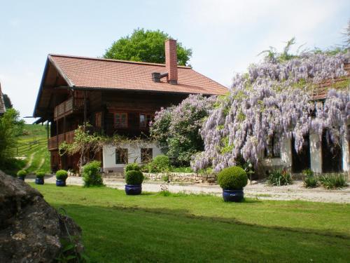 Exterior view, Wampendobler Paradies in Egglham Exterior view, Wampendobler Paradies in Egglham