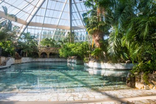 Swimming pool, Hotel Eemhof by Center Parcs in Zeewolde Swimming pool, Hotel Eemhof by Center Parcs in Zeewolde