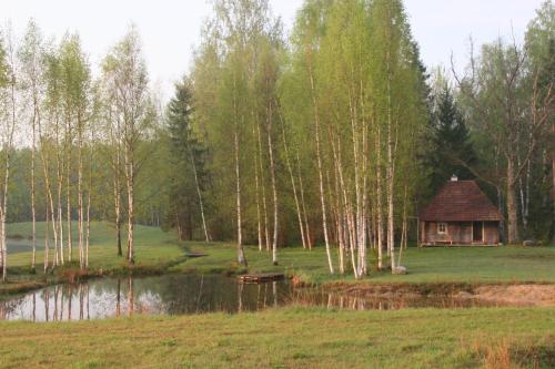 Úszómedence, Miskiniskes in Ignalina Úszómedence, Miskiniskes in Ignalina