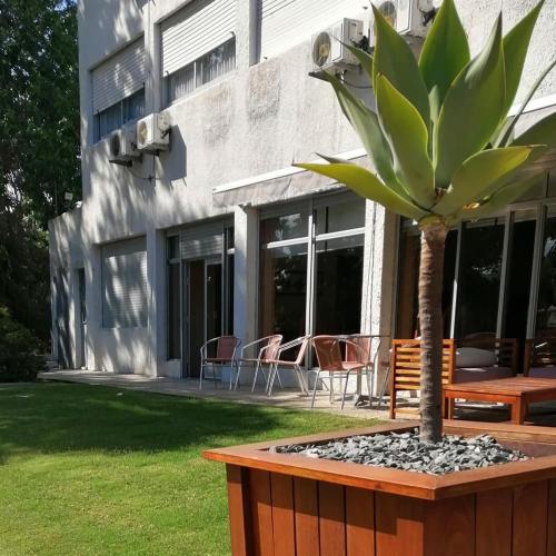 Ulaz, Hotel Centenario in Atlantida Ulaz, Hotel Centenario in Atlantida