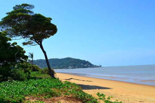 Kilátás, Appartement moderne à Remire-Montjoly avec balcon, 60 m² (Appartement moderne a Remire-Montjoly avec balcon, 60 m²) in Remire-Montjoly Kilátás, Appartement moderne à Remire-Montjoly avec balcon, 60 m² (Appartement moderne a Remire-Montjoly avec balcon, 60 m²) in Remire-Montjoly