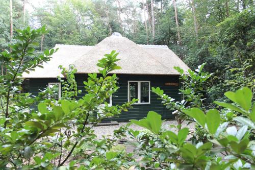 Instalaciones, Vakantiehuis 't Musje in Epe Instalaciones, Vakantiehuis 't Musje in Epe
