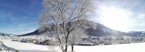 Appartement Sonnentraum in Moosen Appartement Sonnentraum in Moosen