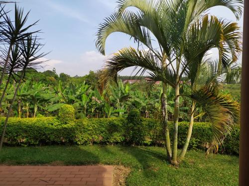 tuin, Hoima Flight Motel in Hoima tuin, Hoima Flight Motel in Hoima