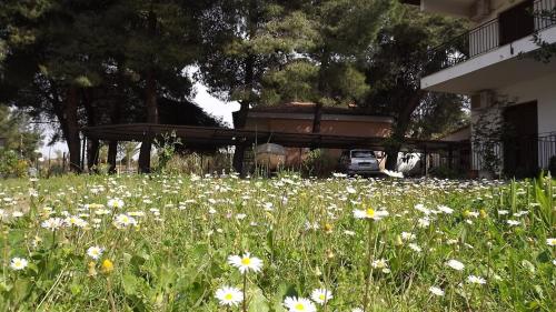 This photo about Pefka Studios & Apartments shared on HyHotel.com