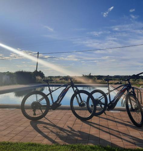 กีฬาและกิจกรรมสันทนาการ, Holiday House Sweet Home in ดูบา กีฬาและกิจกรรมสันทนาการ, Holiday House Sweet Home in ดูบา