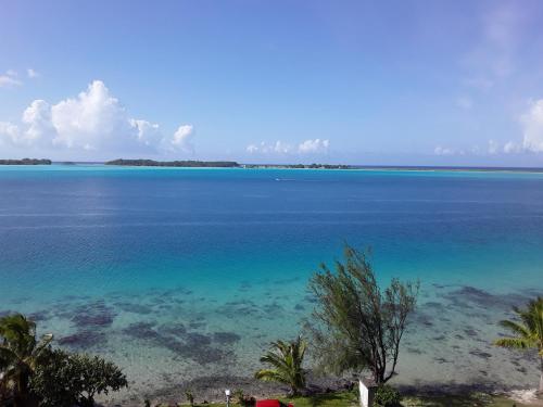 Studio Moana in Bora Bora Island Studio Moana in Bora Bora Island