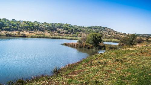 Lodge @ Bankenkloof Private Game Reserve in Tierpoort Lodge @ Bankenkloof Private Game Reserve in Tierpoort
