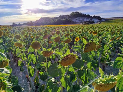 Deportes y ocio, Casa Rural La Morena in Soria Deportes y ocio, Casa Rural La Morena in Soria