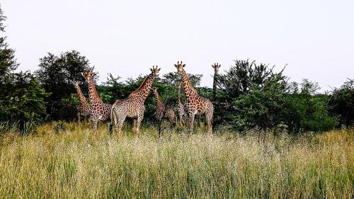 Lodge @ Bankenkloof Private Game Reserve in Tierpoort Lodge @ Bankenkloof Private Game Reserve in Tierpoort