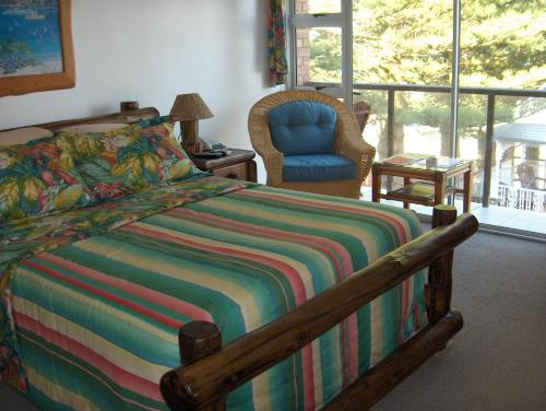 Sea Otters Lodge in Clarendon Marine Sea Otters Lodge in Clarendon Marine