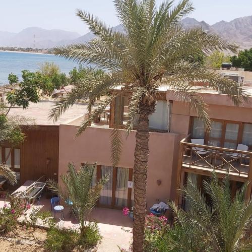 Nakhil Inn Nuweiba in Nuweiba Nakhil Inn Nuweiba in Nuweiba