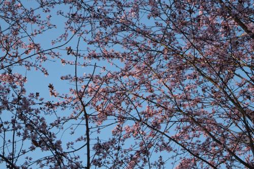 This photo about Chez Severine & Edward shared on HyHotel.com