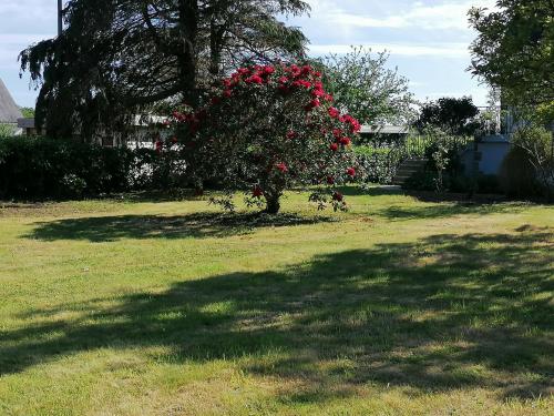 Gîte 4 pers proche plage avec jardin (Gite 4 pers proche plage avec jardin) in Quimper centrum Gîte 4 pers proche plage avec jardin (Gite 4 pers proche plage avec jardin) in Quimper centrum