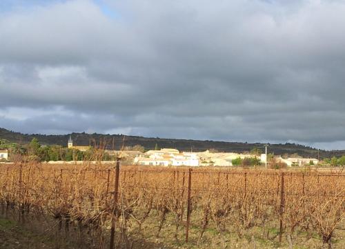 المرافق, Millot Conilhac in كونياك كوربيير المرافق, Millot Conilhac in كونياك كوربيير