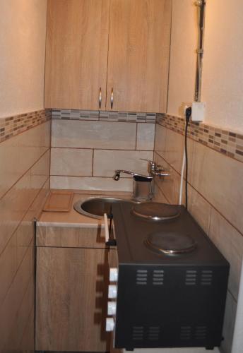 Apartment Homeland in Kolasin Apartment Homeland in Kolasin
