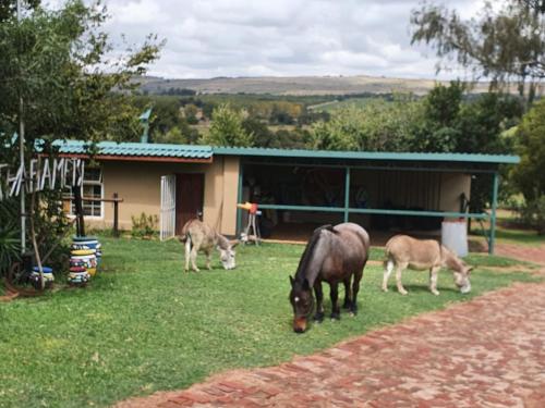 Thabametsi Farm in Rustenburg Thabametsi Farm in Rustenburg