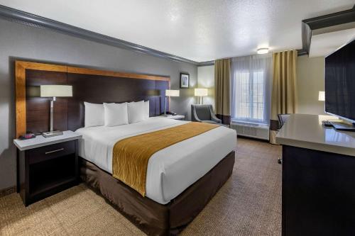 Comfort Inn & Suites Near Universal - North Hollywood – Burbank - image 2