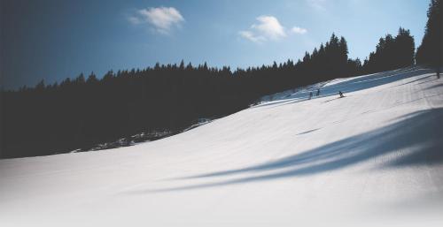 Sports and activities, PH Apartments Harrachov - Ryzoviste in Ryzoviste Sports and activities, PH Apartments Harrachov - Ryzoviste in Ryzoviste