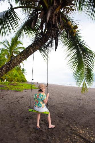Beach, Hotel Tortuguero Beachfront in Tortuguero Beach, Hotel Tortuguero Beachfront in Tortuguero