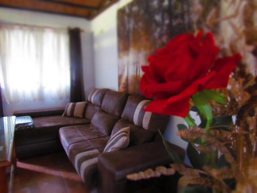 設施, Apartamentos Casas Rurales "Paraje San Blas" in 阿爾布爾克爾基 設施, Apartamentos Casas Rurales "Paraje San Blas" in 阿爾布爾克爾基