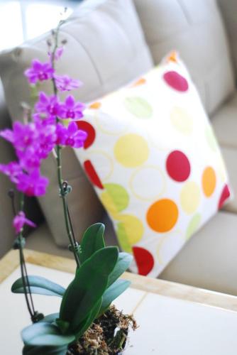 This photo about Green Window Homestay shared on HyHotel.com