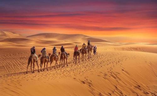 Enjoy Moda Camp Merzouga tours- Camel sunset sunrise Quad Sunboarding ATV in Merzouga Enjoy Moda Camp Merzouga tours- Camel sunset sunrise Quad Sunboarding ATV in Merzouga