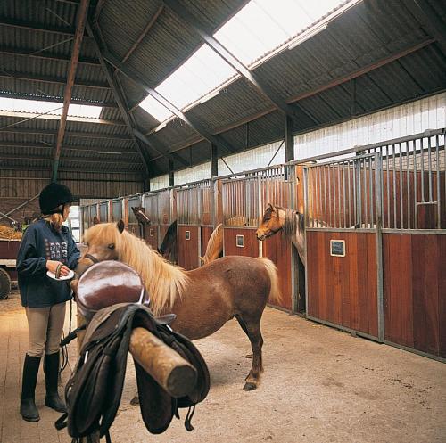 Facilities, Finse Bungalow 6P in Meppen Facilities, Finse Bungalow 6P in Meppen