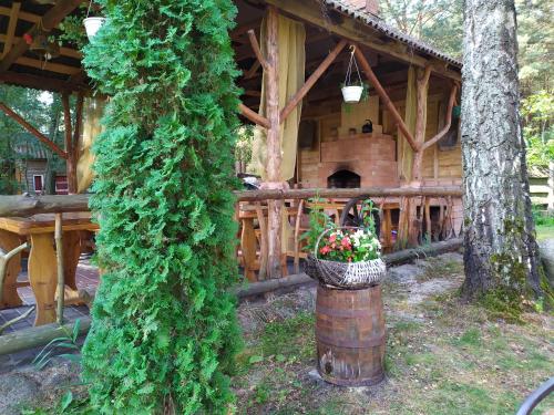Садиба Лісова казка in Svityaz Садиба Лісова казка in Svityaz